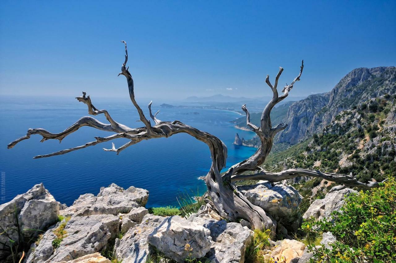 Hotel Goloritze Baunei Dış mekan fotoğraf