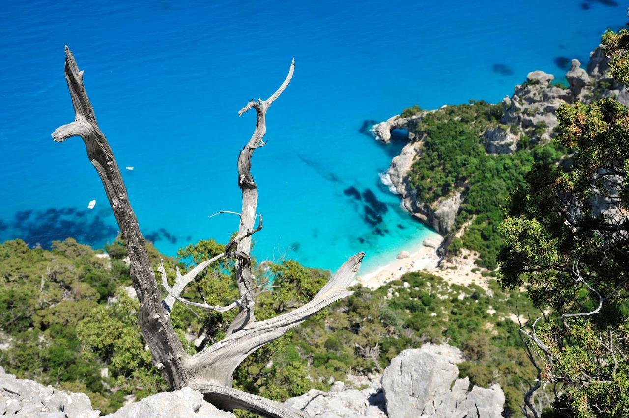 Hotel Goloritze Baunei Dış mekan fotoğraf