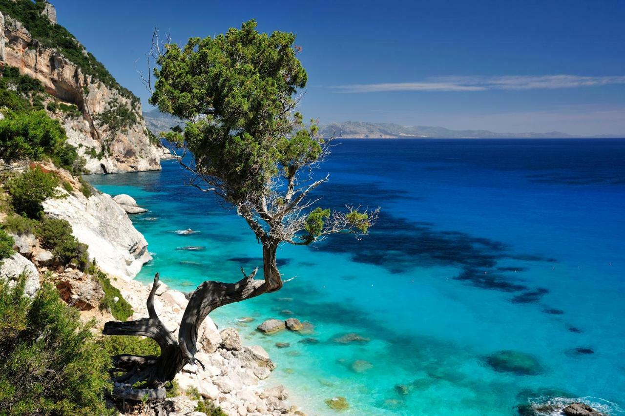 Hotel Goloritze Baunei Dış mekan fotoğraf